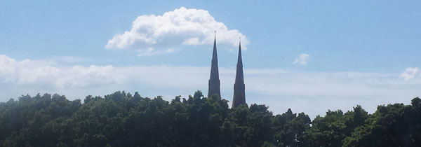 View from our office